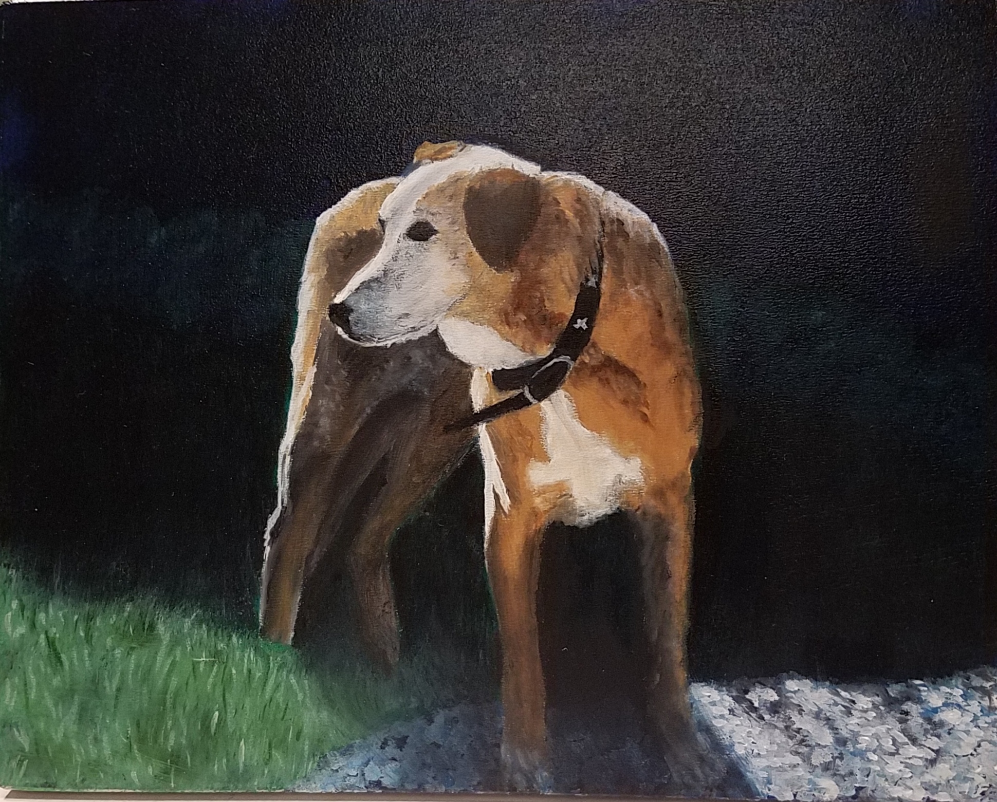 Sunny Chiascuro 20170520